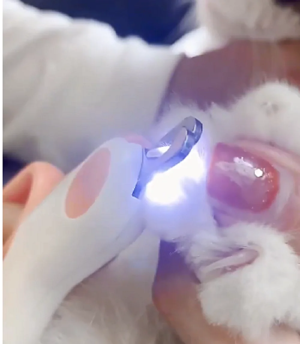 

Professional Pet Nail Clipper Led Light Claw Grooming Scissors Puppies Cats Rabbits Scissors Universal For Cats And Dogs