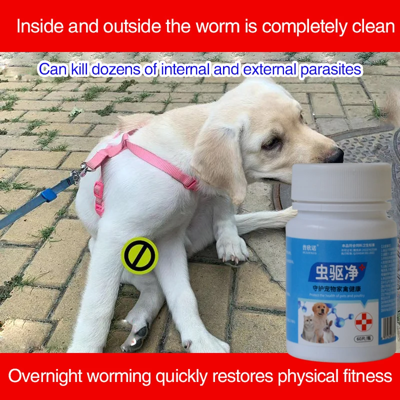 Pet dogs cats Livestock pigs horses cattle internal and external deworming Ascaris nematodes ticks parasites