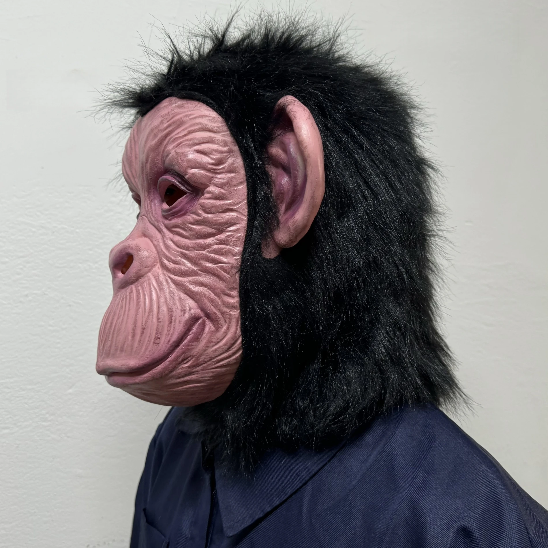 Un chimpancé de Gombe le echa una mirada al camarógrafo mientras se come un  mono. : r/natureismetal, image size:1900x1900