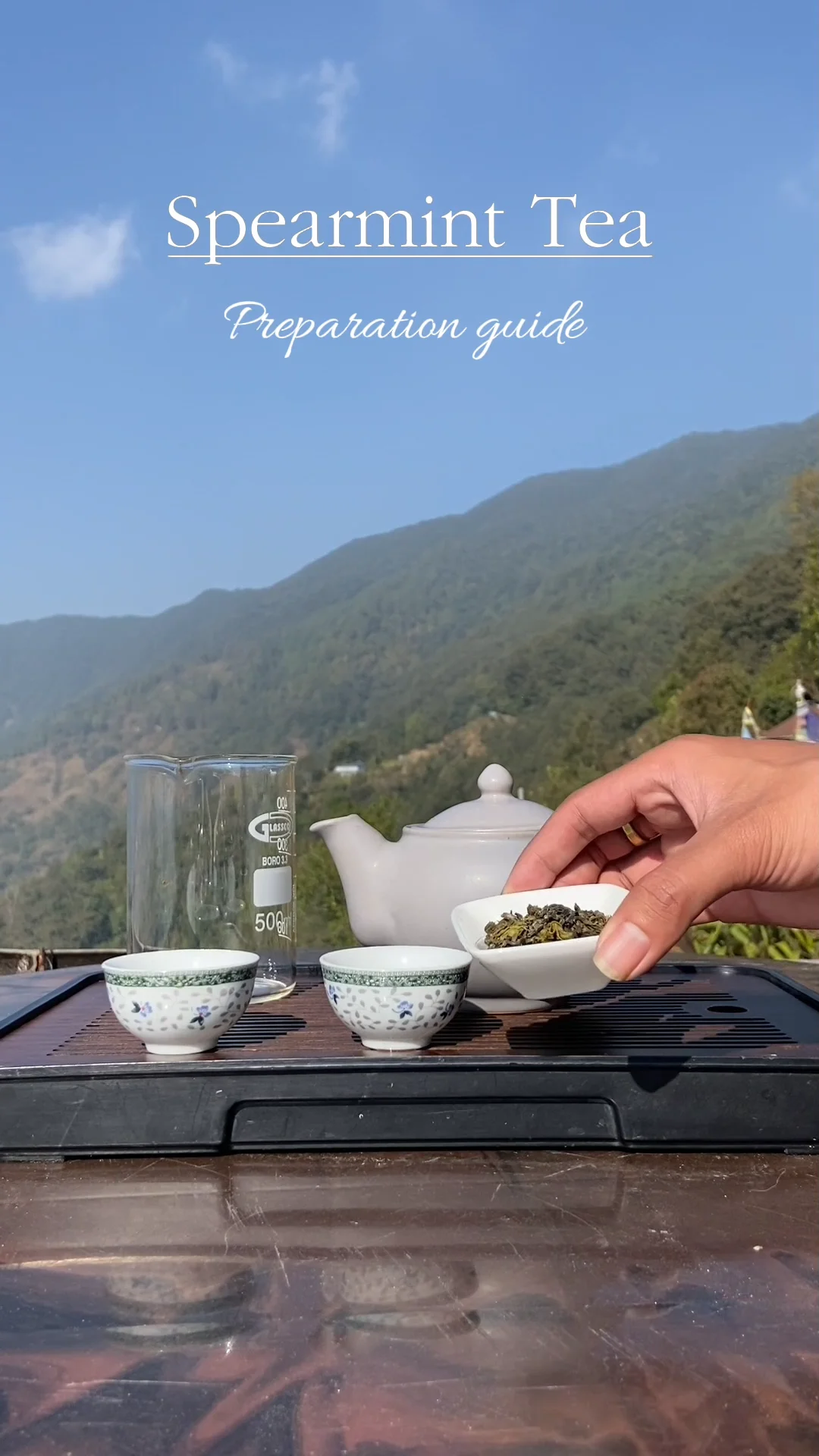 Spearmint Tea For PCOS Reversal and Hormonal Acne - Nepal Tea Exchange - 40g