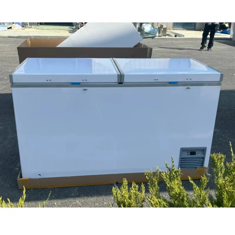 Double-door Single-temperature Freezer Large Capacity, Vegetable and Meat Storage Horizontal Freezer, Freezer Home Commercial
