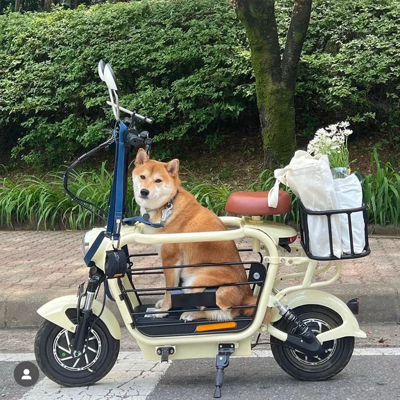 Minibi Electric Scooter for Dog Ani Bicycle with Pet Seatcustom