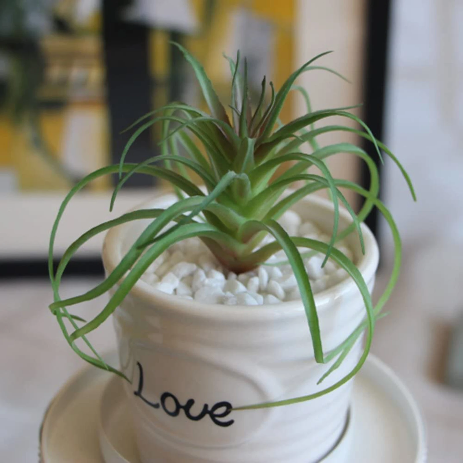 Artificial Fake Tillandsia Room Decor Succulent Simulation Plant