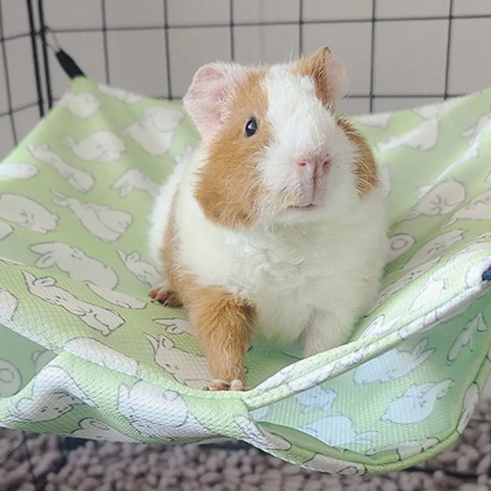 Slide image 3fafbadb2adf423aa0e30ad09a36a966