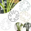 Plant Stabilizer Plant Holder For Supporting Monstera And Flowers Plant Support