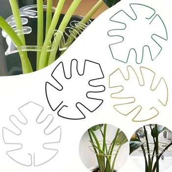 Plant Stabilizer Plant Holder For Supporting Monstera And Flowers Plant Support