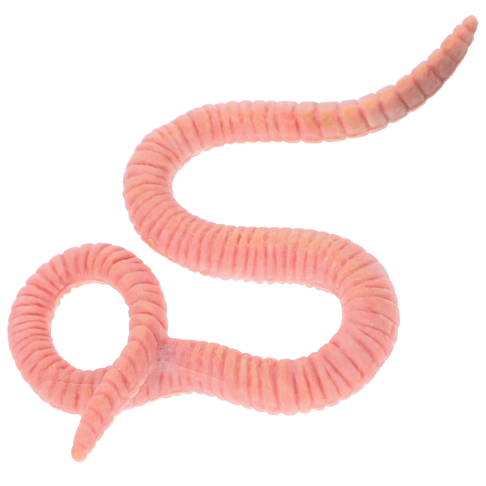 

Earthworm Model Toy Lifelike Simulation Insect Small Insects Statue Adornment Figurines Plastic Recognition Figure Models