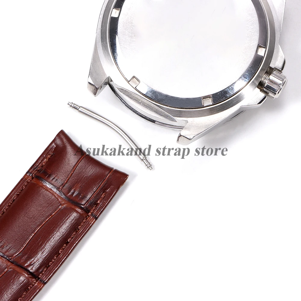 Premium Stainless Steel Curved Spring Bars