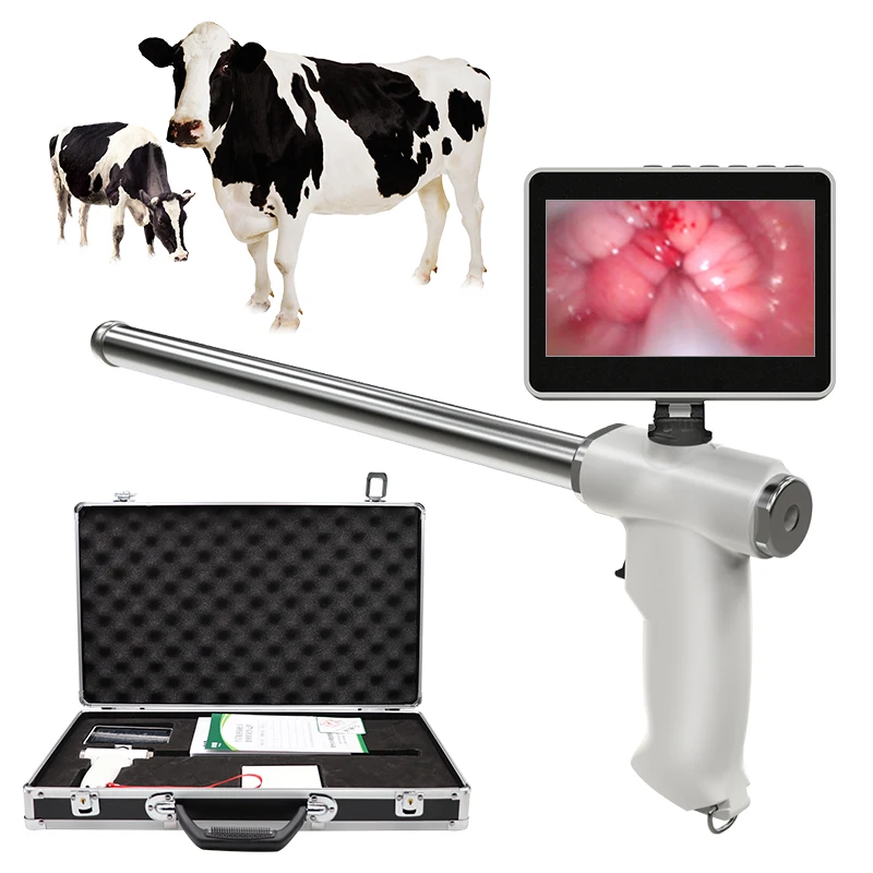 

Visual Cows Endoscope Sperm Gun Dairy Cattle Veterinary Breeding Insemination Examine Tools For Horse Cattle Farm