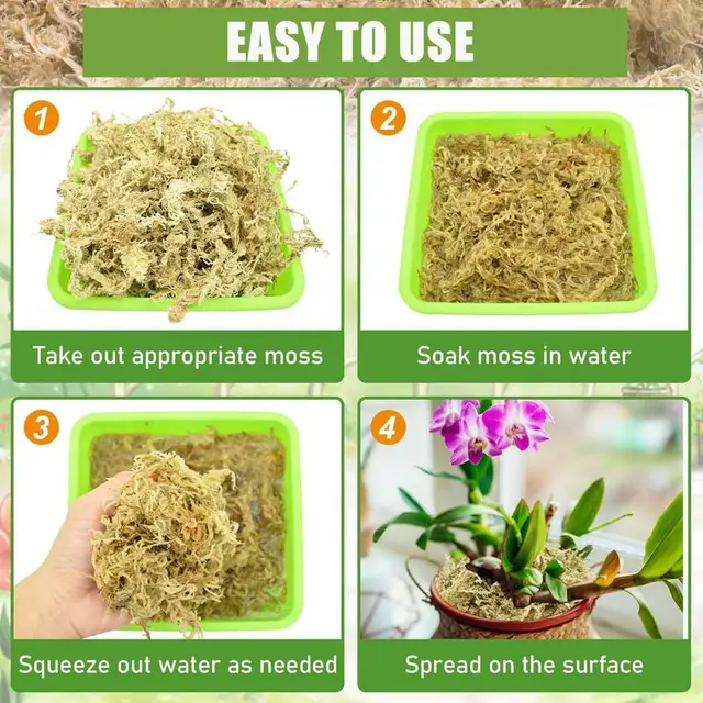 Sphagnum Moha Hidratáló Táplálkozási Szerves Műtrágya Phalaenopsis Orchidea Természetes Műtrágyák - Image 5