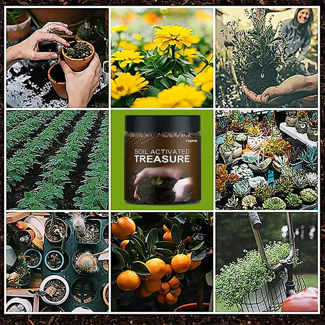200G Talaj Aktiválása Kincses Ásványi Forrás Kálium-Fulvatate Javítja A Talajt Szabályozza Sav-Lúgos Vízben Oldódó Műtrágyát - Image 3