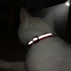 Customized Cat Collar Reflective Cat Collar Free Engraved Puppy Kitten Pet ID Nameplate Necklace With Bell Anti-lost For Cats 5