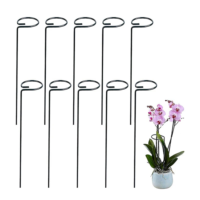 5Pcs 25CM Plant Support Stakes Garden Single Stem Stake Amaryllis Cage Rings For Tomatoes Orchid Lily Peony Rose Flower