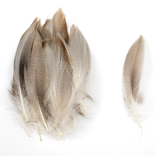 50pcs Mallard Flank Feathers For Fly Tying 1