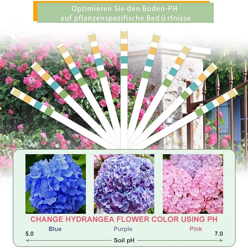  PH ׽Ʈ Ʈ 100 Ʈ  ׽,  PH ׽Ʈ Ʈ,  PH ׽Ʈ Ʈ,  Ĺ ׽, PH ׽Ʈ Ʈ, 0-14 PH