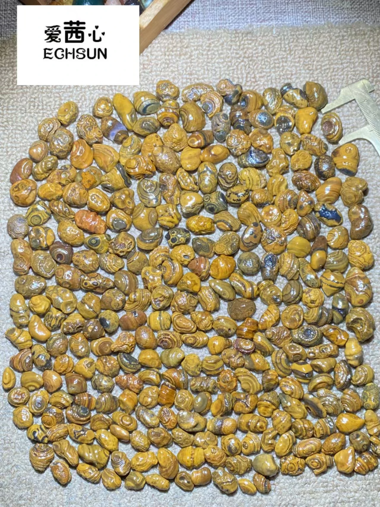 277pcs/lot boutique natural three-dimensional relief surface coin eye stone loose beads Gobi agate grain Pretty rare