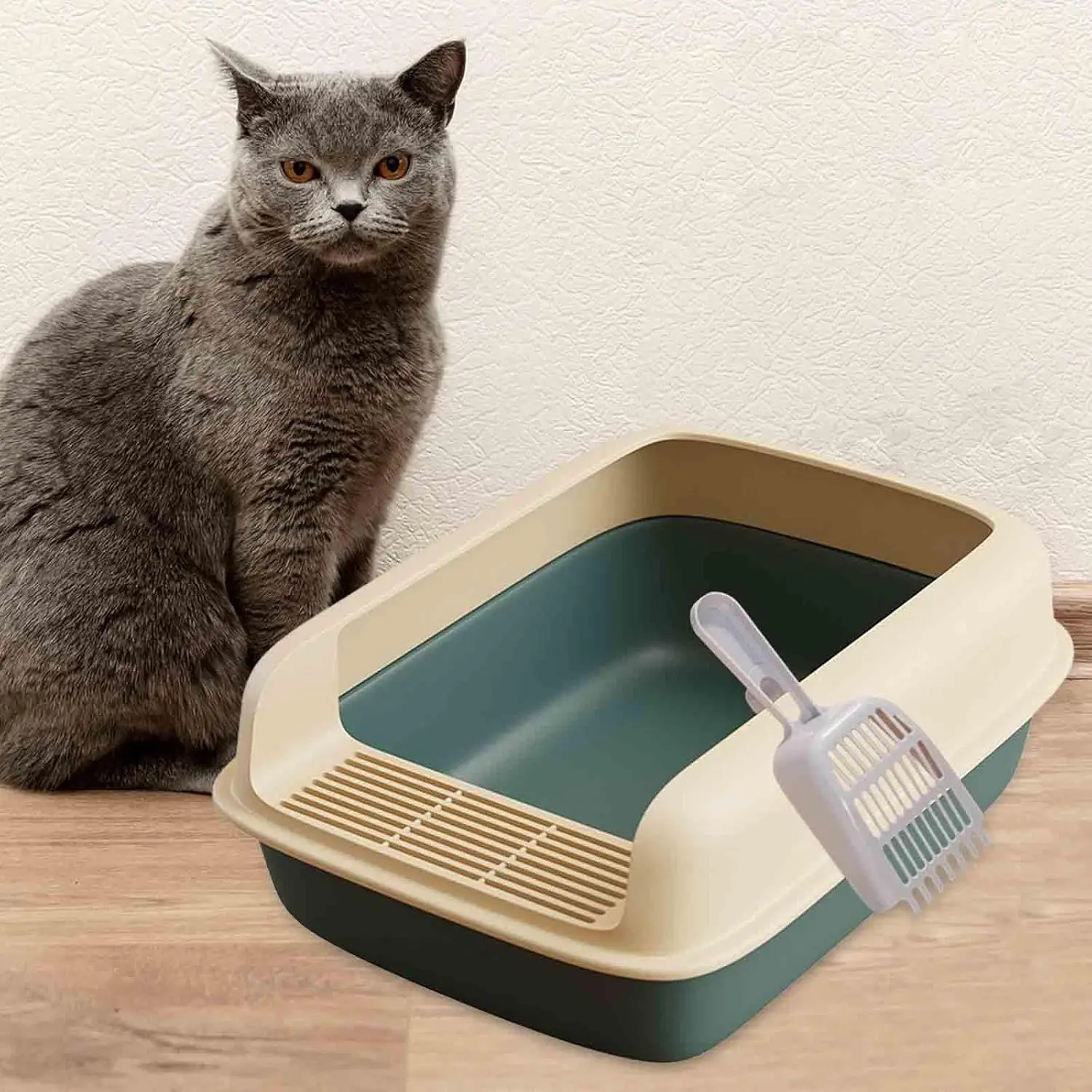 Open Top Cat Litter Tray  - Semi-Enclosed Design, Non-Slip Base & Low Entry for Kittens/Senior Cats, Easy Clean Large Litter Pan