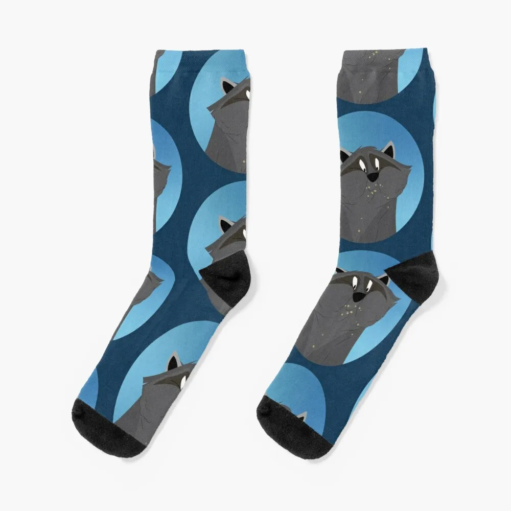

Meeko Pocahontas Socks