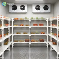 Prise en charge de la salle de stockage au froid réfrigérée personnalisée (+2 ° C à +8 ° C) pour Fruits et Légumes Frais à vendre 3