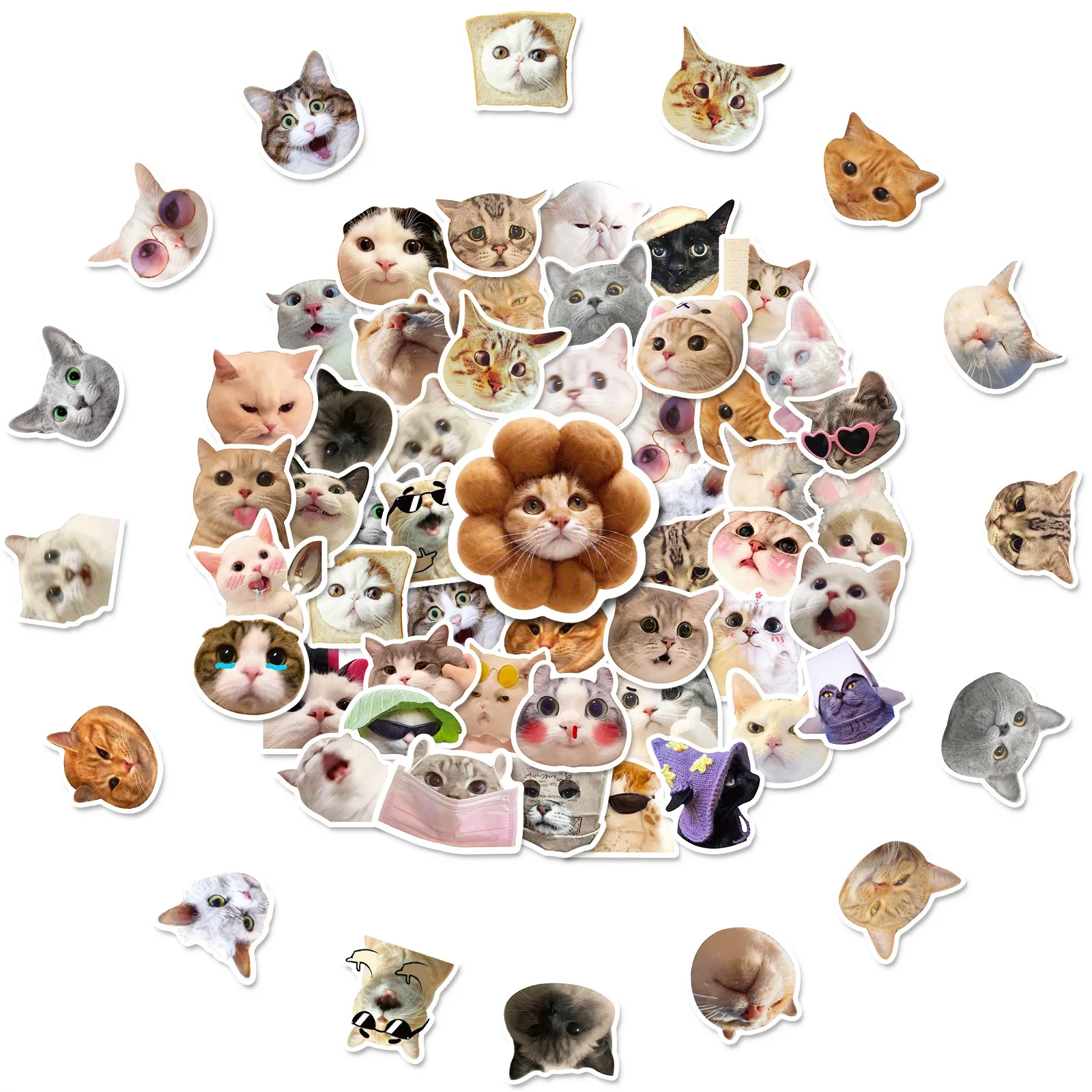 Cute Pet Stickers Kawaii Funny Cat Meme Decals Vinyl Waterproof Stickers Water Bottle Laptop Bumper Phone Guitar 50pcs