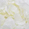 7 Milk White
