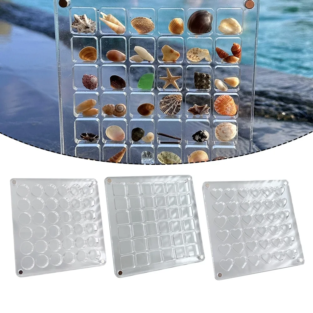 

36 Grids Transparent Acrylic Seashell Display Box Magnetic Seashell Display Case Racks Small Craft Organizers Compartment Box