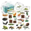 1 Set Life Cycle Learning Toys Frog Butterfly Chicken Mantis Bee Plants Educational Figurines for Kids 6