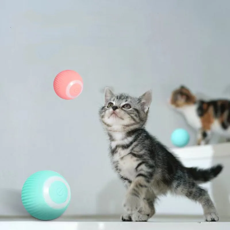 self moving cat ball