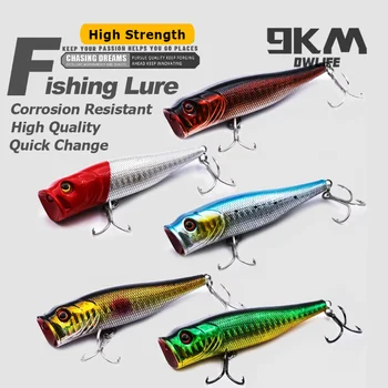 Saltwater Popper Fishing 1