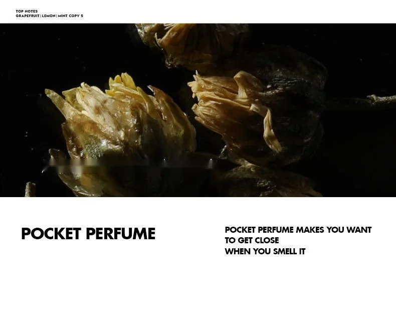 Neues blaues Herrenparfüm, anhaltender Duft, leichter Duft, blauer Duft, Kölnisch Wasser, große Markentasche für Studenten_voghion.com