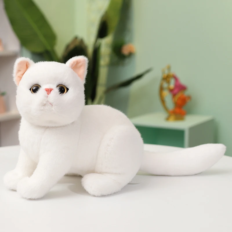 25CM white
