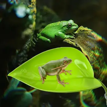 Frog Habitat Leaf 2