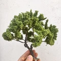 Q 15cm