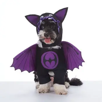 Halloween Pet Costume 1