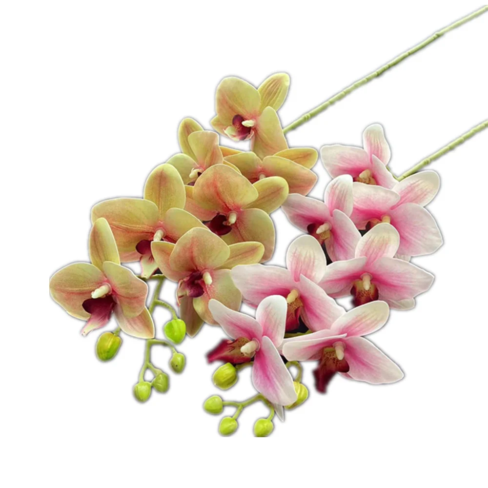 Slide image a7e70154838b407b96a01800ffbf5996