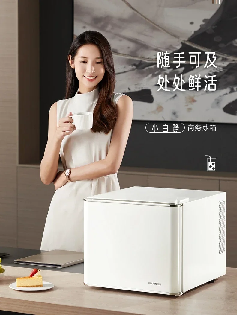 Fuxin Hotel Guest Room Mini Refrigerator Mute Home Office Apartment Dormitory Inn Medicine Preservation Refrigerated Cabinet