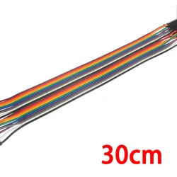 Versatile 20 - Pin Dupont Jumper Wire Cable Set - Male & Female Connections, Multiple Lengths - Female to Female (30cm)