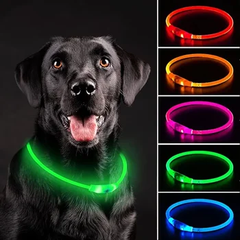 Coleira LED Luminoso para Cachorro com Luz, USB, Prevenção de Perda, Acessórios para Pets, 3 Modos.