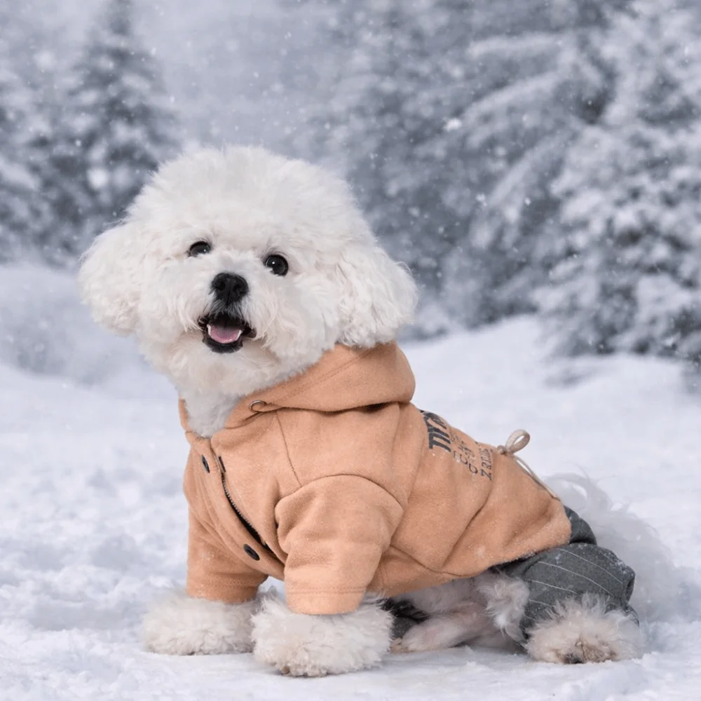패션 두꺼운 네발개용 옷 부드럽고 편안한 강아지 겨울 코트 따뜻한 모자 달린 강아지 후드티 데일리 워킹
