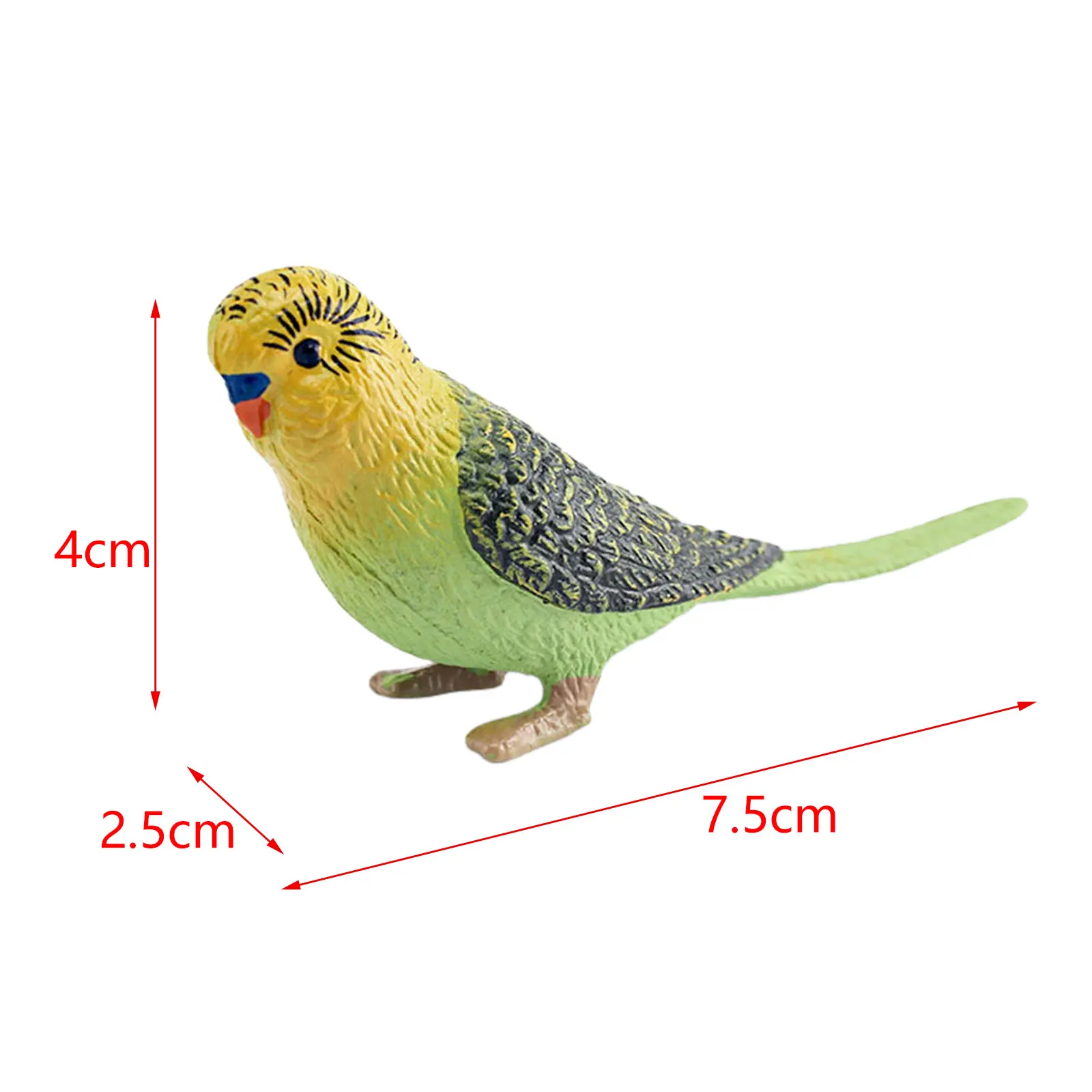 Pinowu Statuette di uccelli (12 pezzi), realistiche aquila, pappagallo, tucano, piccione, gufo, giocattoli, giocattoli educativi per casa delle bambole, decorazione per torta di compleanno, regalo per