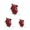 Vase Container Simulation Anatomical Heart-shaped  Dried Flower Pot Art Vase Human Statue Desktop Home Decoration Ornaments 6