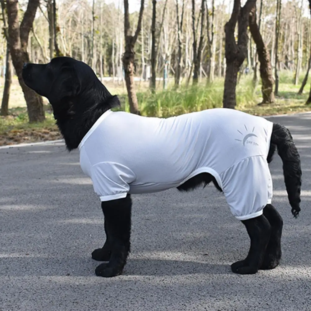 Roupa para Animais: A Solução Prática e Segura para Cães de Médio e Grande  Porte no Dia a Dia, image size:1001x1001