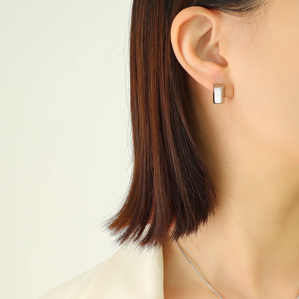 CINSY Jewelry Stainless Steel Earrings Kolczyki Brincos Piercing Christmas Aretes Earrings For Women Pendientes Mujer Earrings