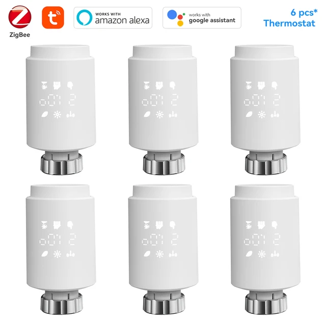 6 PCS