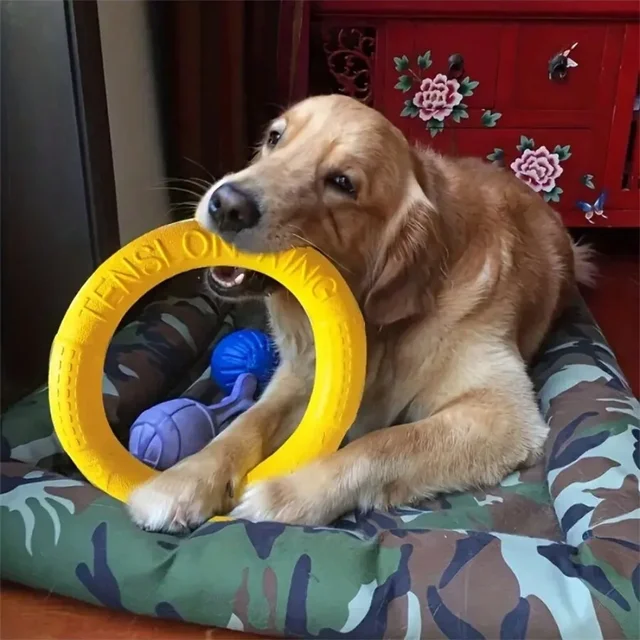 Dog Toys Pet Flying Disk Training 3