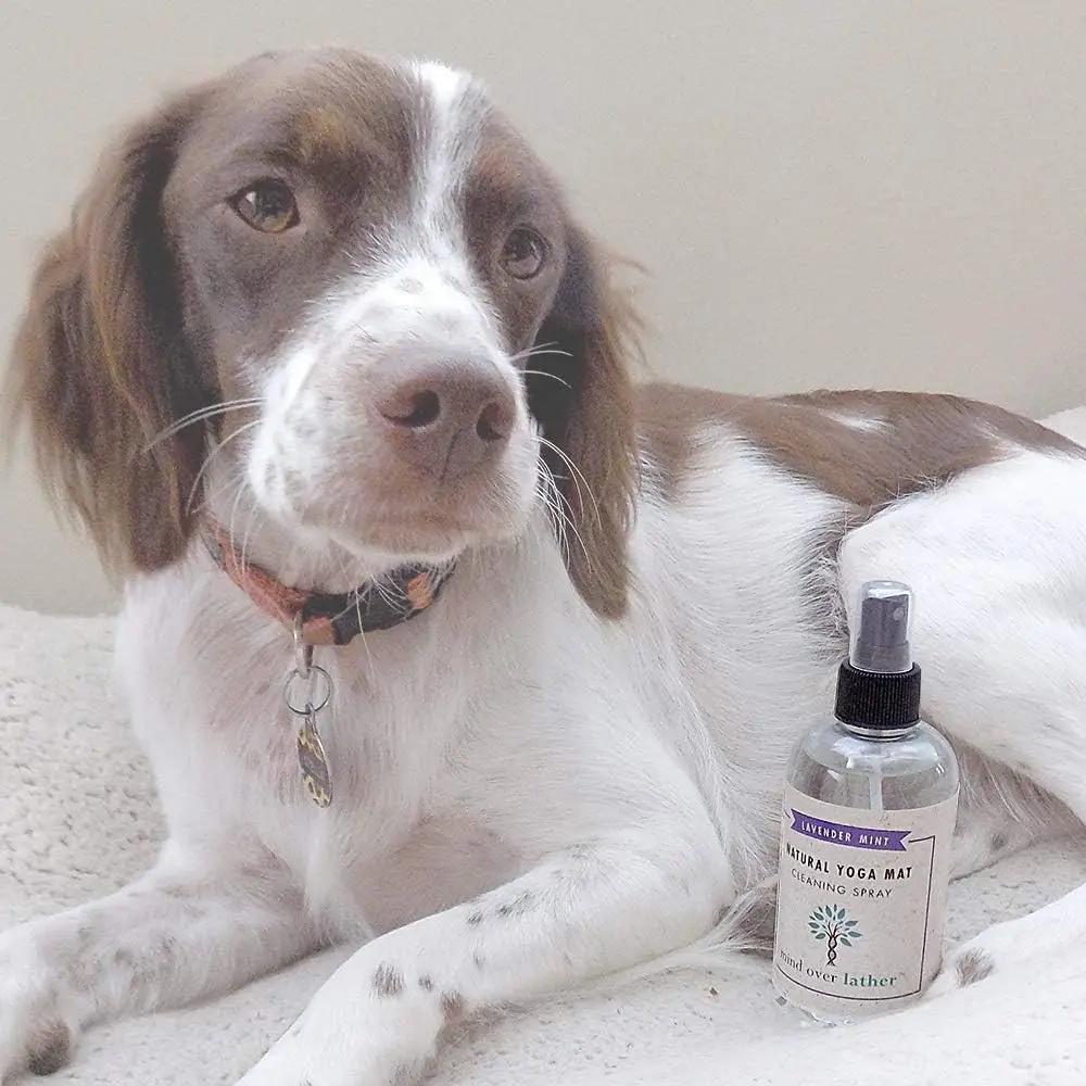 Yoga Mat Cleaning Spray 6