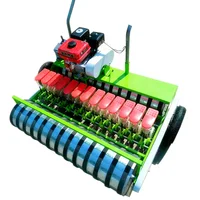 Automatic Vegetable Precise Sower / Vegetable Seeder / Vegetable Planter 1