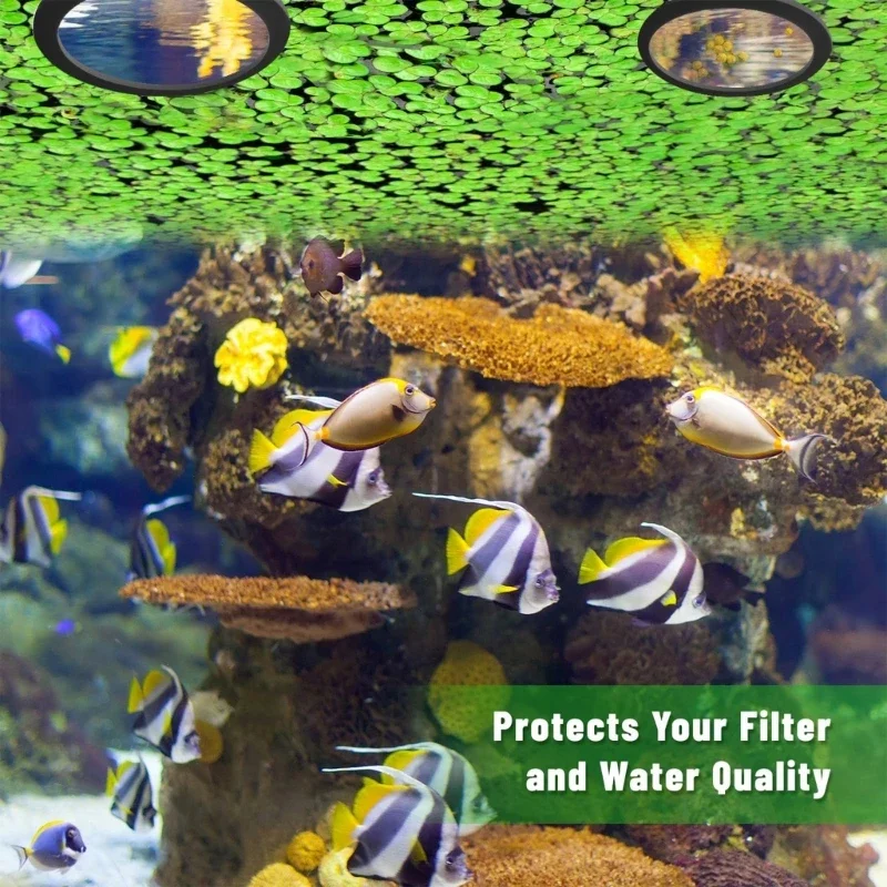 Floating Plant Corral & Fish Feeding Rings for Aquariums - Set of 5/10, Adjustable 80-200mm