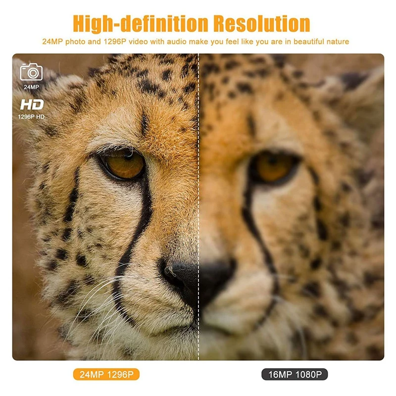 Outdoor Wildlife Camera 24MP 1296P WiFi Trail Cameras No Glow Night Vision Motion Activated IP66 Waterproof Trap Game