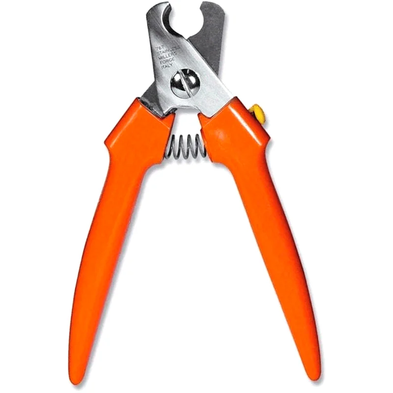 Stainless Steel Bird Nail Clipper for Parrots and Small Pets-Ergonomic Grooming Tool with Black Handles & Red Rings